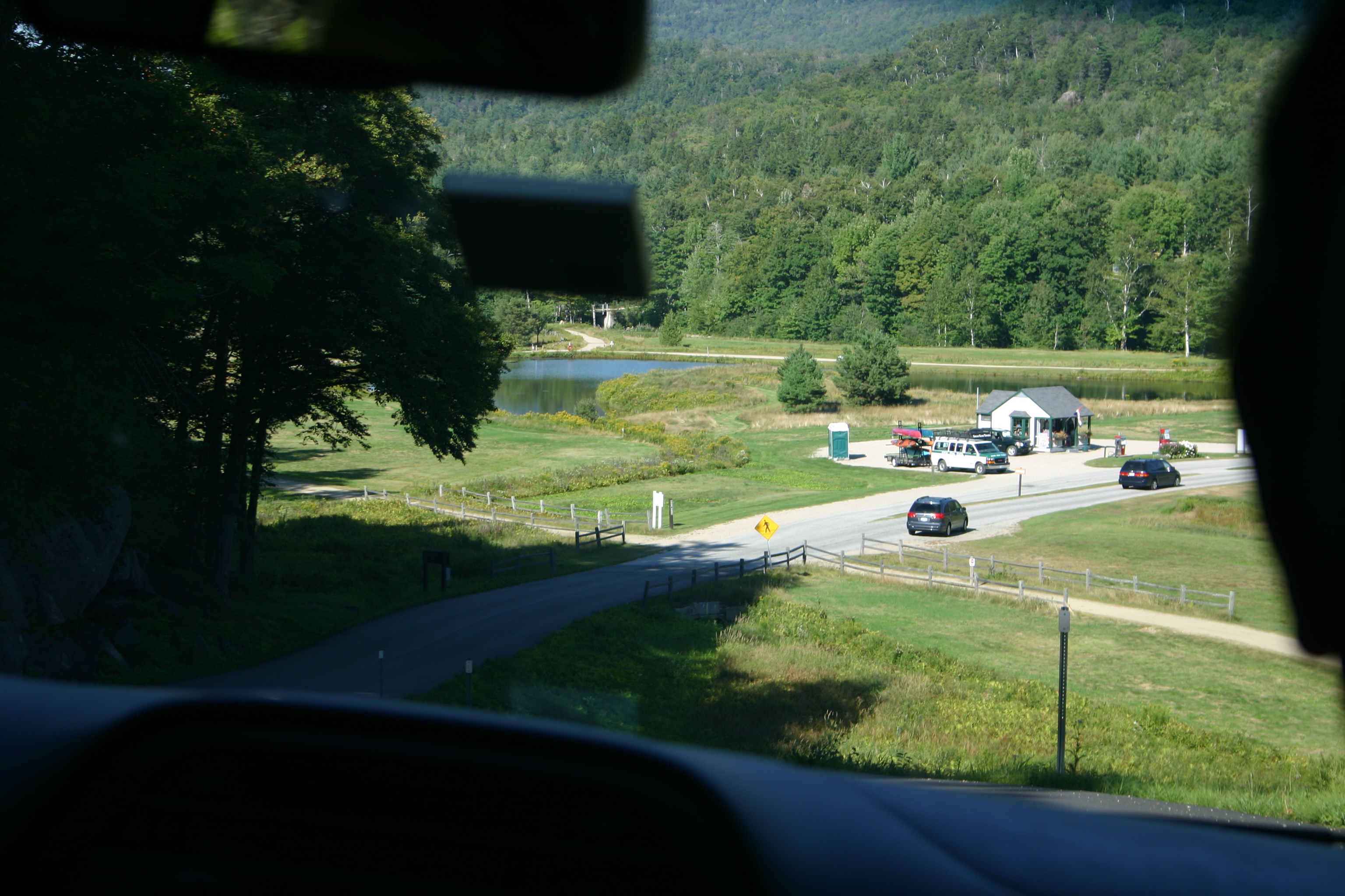 picture 8.